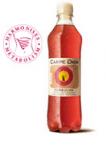 Kombucha