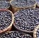 Acai Vida