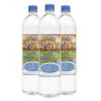 I AM HEALTHY Natural Spring Water - mini-Mantra