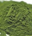 NutraGrass