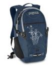 Cathedral Backpack in bonsai blue