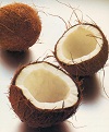 CocoJiva