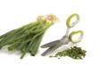 Herb Scissors