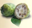 Noni Juice, Concentrate, Fruit Powder, PE, Leaf P