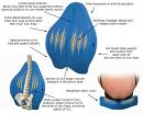 Contour Freedom Back