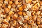GLAD CORN brand A-Maizing Corn Snack 12# Bulk