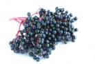 Acai