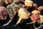 Maca