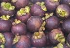 Mangosteen Puree, Pericap, Whole Fruit, Fruit Only