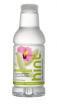 Honeydew Hibiscus
