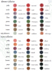 Natural Look Mineral Makeup COLORS