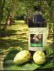 Noni Juice of Tahiti