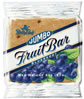 Blueberry Fruit Bars