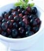 Acai Puree, Concentrate, Powder Extracts (SD & FD)