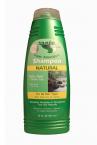 SuperAntioxidant Shampoo w/ Yerba Mate + Green Tea