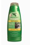 SuperAntioxidant Shampoo w/ Yerba Mate + Green Tea